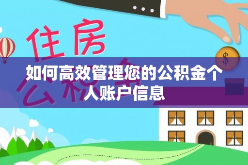 兰考如何高效管理您的公积金个人账户信息