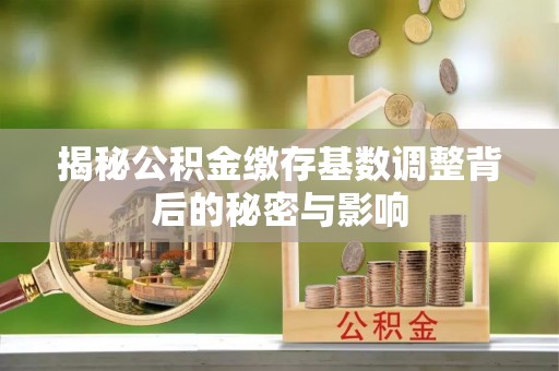 兰考揭秘公积金缴存基数调整背后的秘密与影响