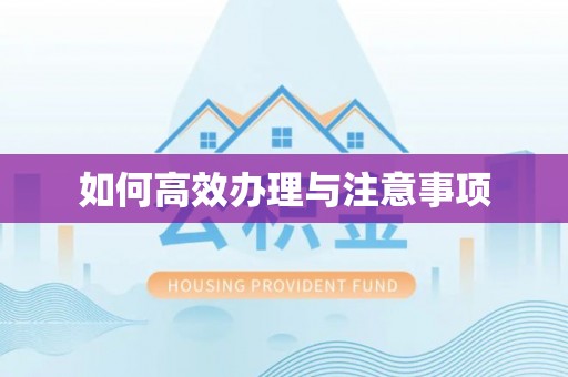 兰考如何高效办理与注意事项
