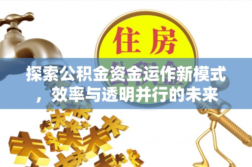 兰考探索公积金资金运作新模式，效率与透明并行的未来