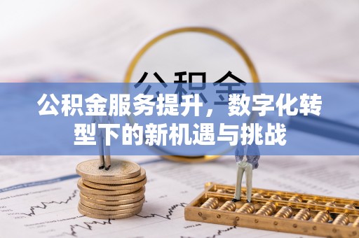 兰考公积金服务提升，数字化转型下的新机遇与挑战