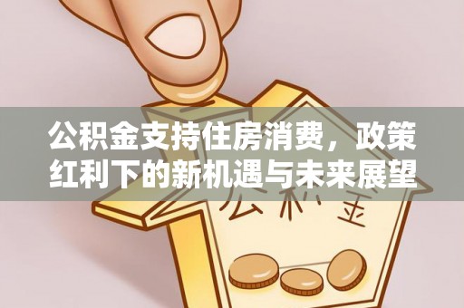 兰考公积金支持住房消费，政策红利下的新机遇与未来展望