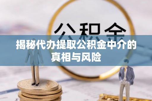 兰考揭秘代办提取公积金中介的真相与风险