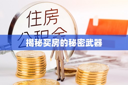 兰考揭秘买房的秘密武器
