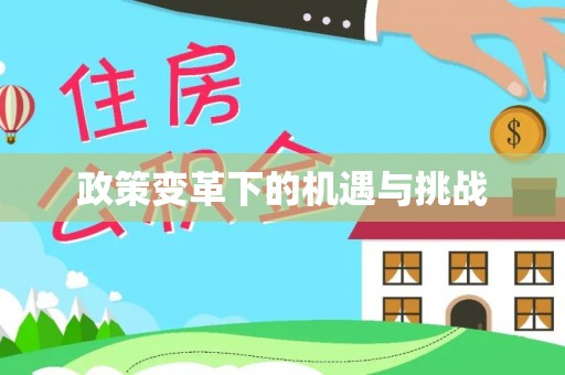 兰考政策变革下的机遇与挑战