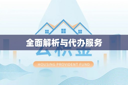 兰考全面解析与代办服务