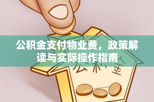 兰考公积金支付物业费，政策解读与实际操作指南
