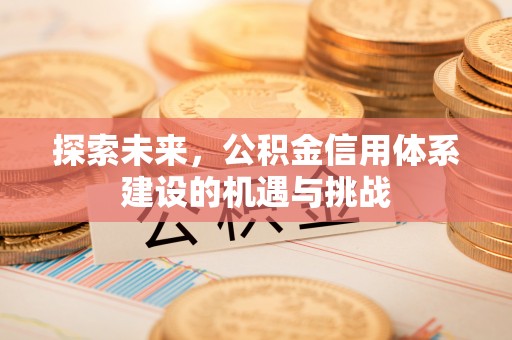 兰考探索未来，公积金信用体系建设的机遇与挑战