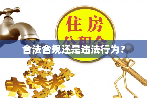 兰考合法合规还是违法行为？