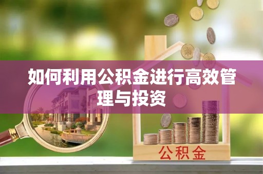 兰考如何利用公积金进行高效管理与投资