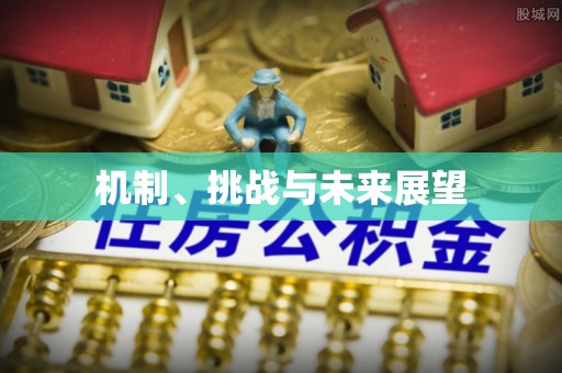 兰考机制、挑战与未来展望