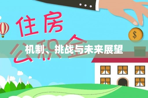 兰考机制、挑战与未来展望